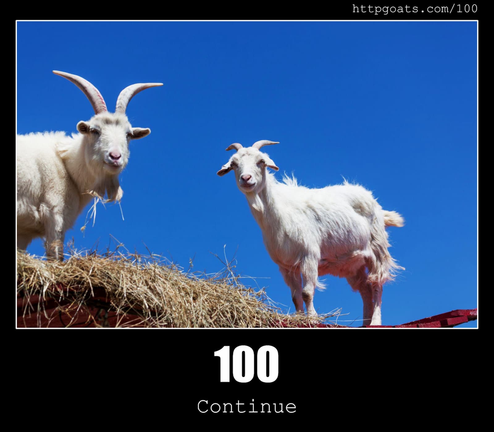HTTP Status Code 100 Continue & Goats