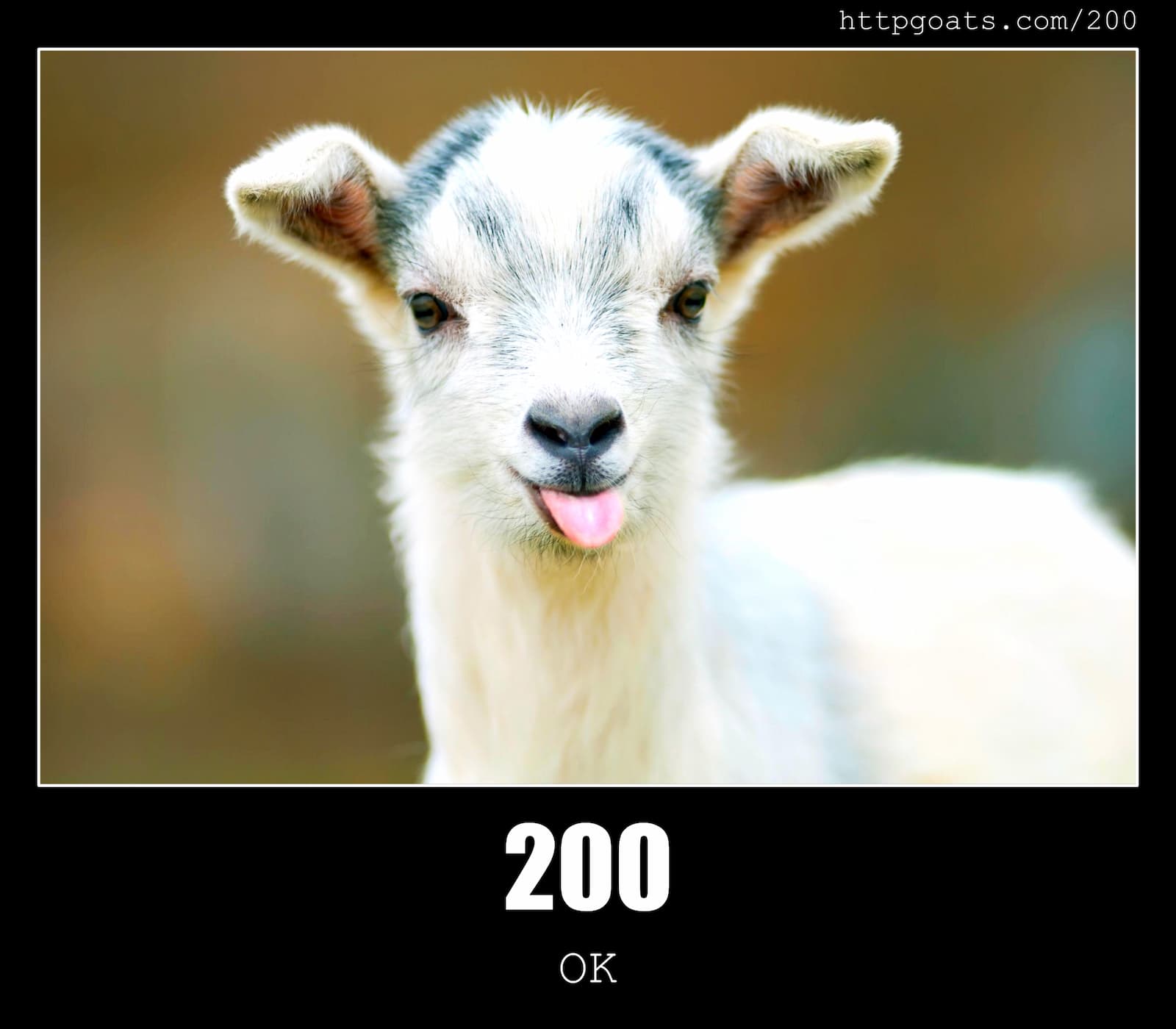 HTTP Status Code 200 OK & Goats