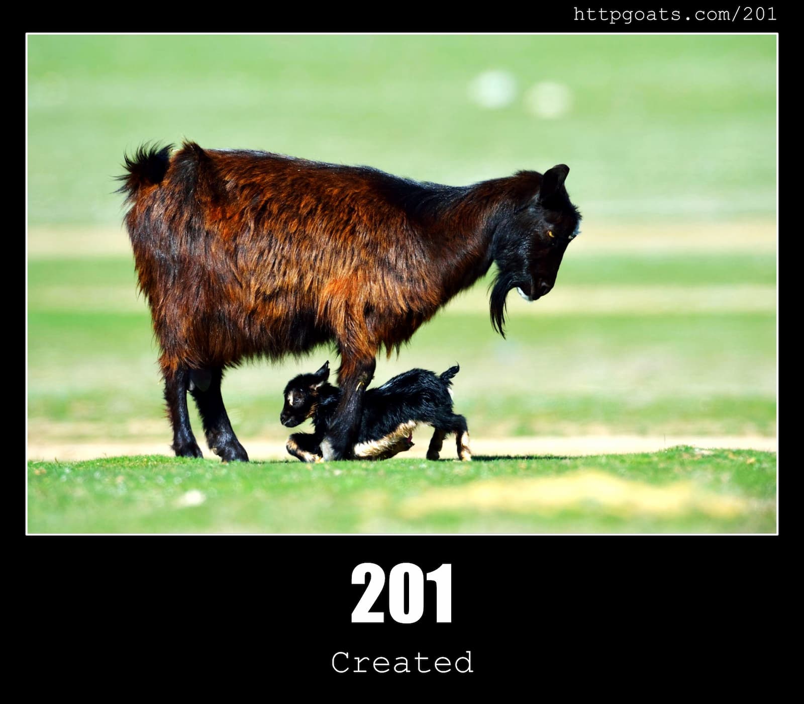 HTTP Status Code 201 Created & Goats