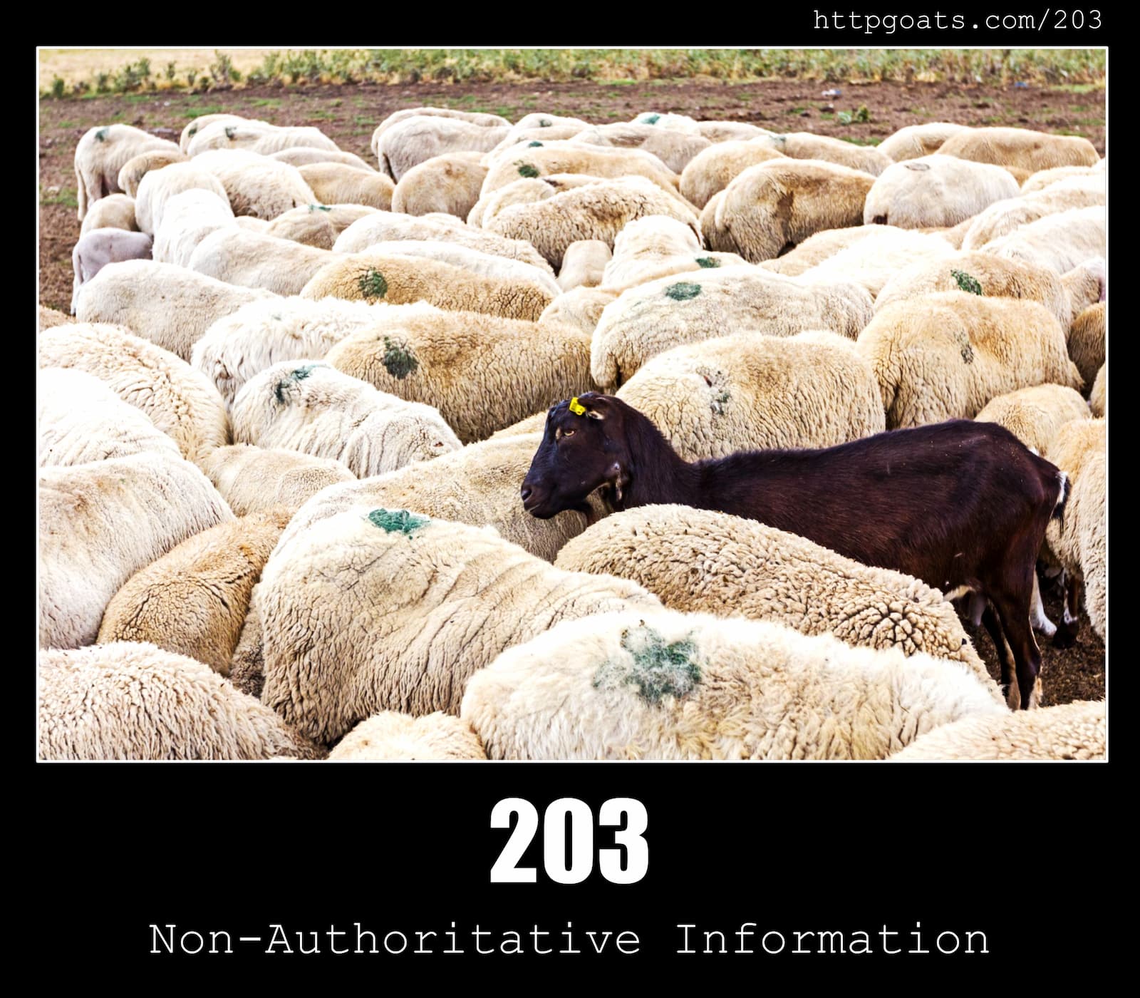 HTTP Status Code 203 Non-Authoritative Information & Goats