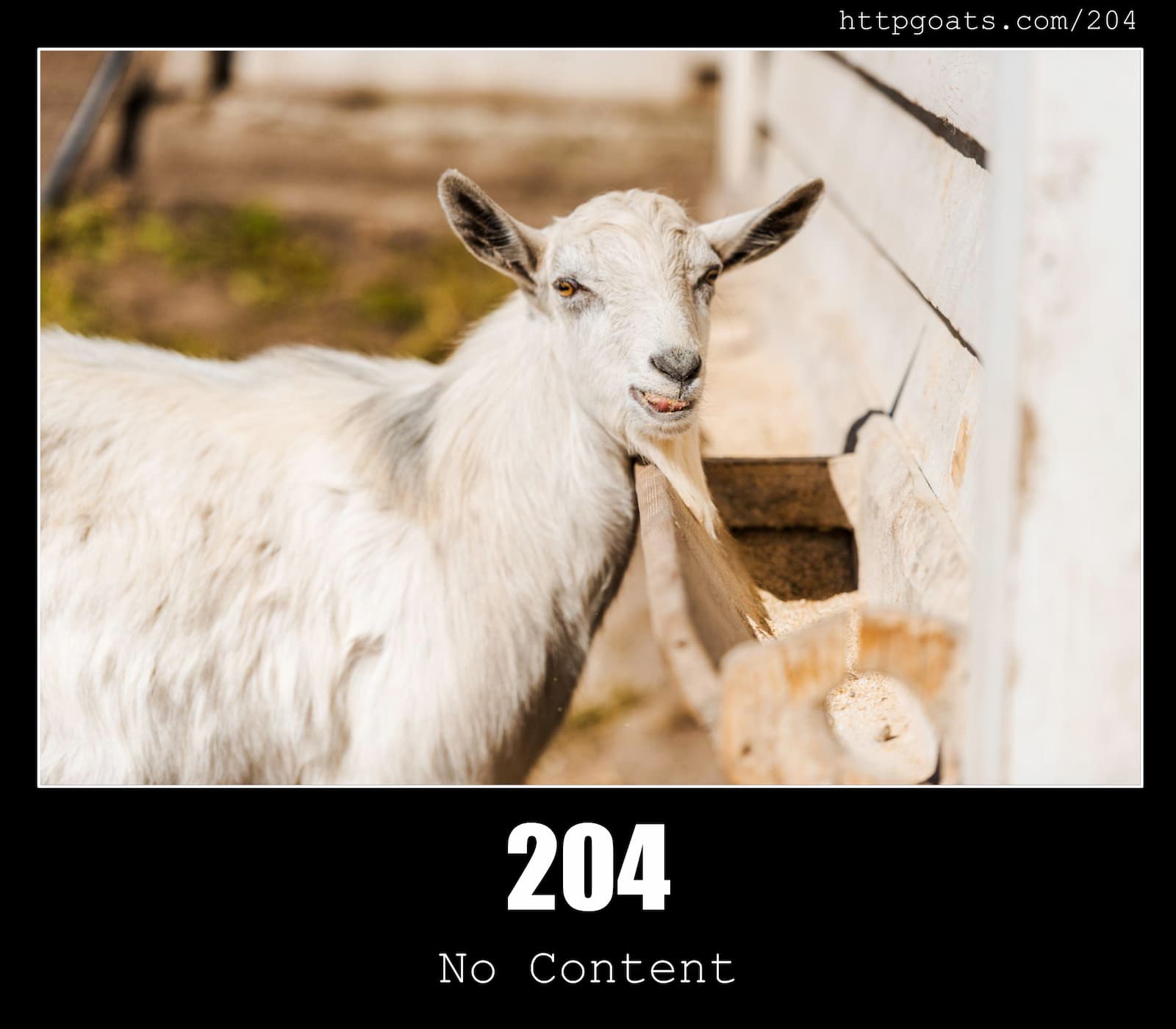HTTP Status Code 204 No Content & Goats