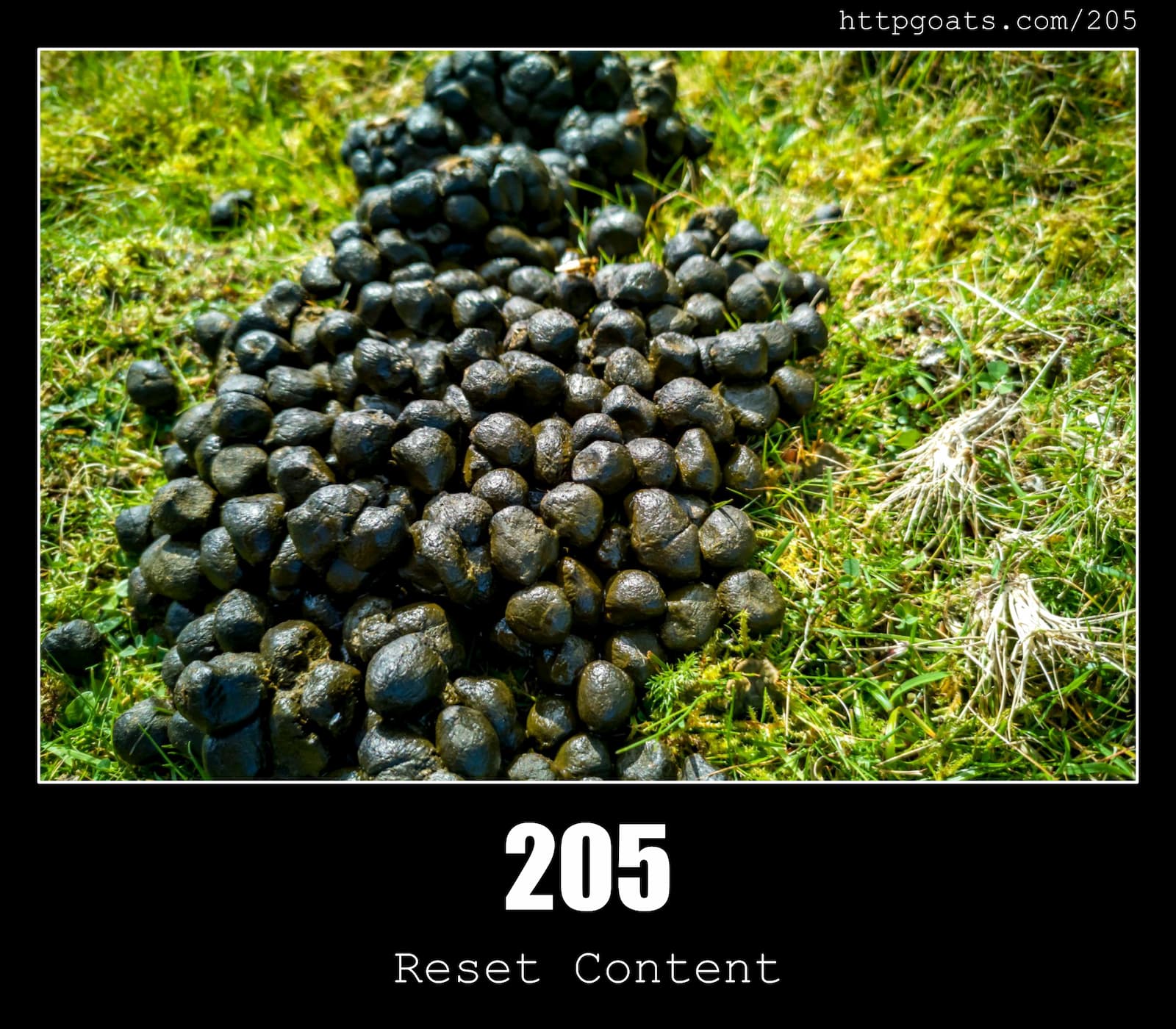 HTTP Status Code 205 Reset Content & Goats