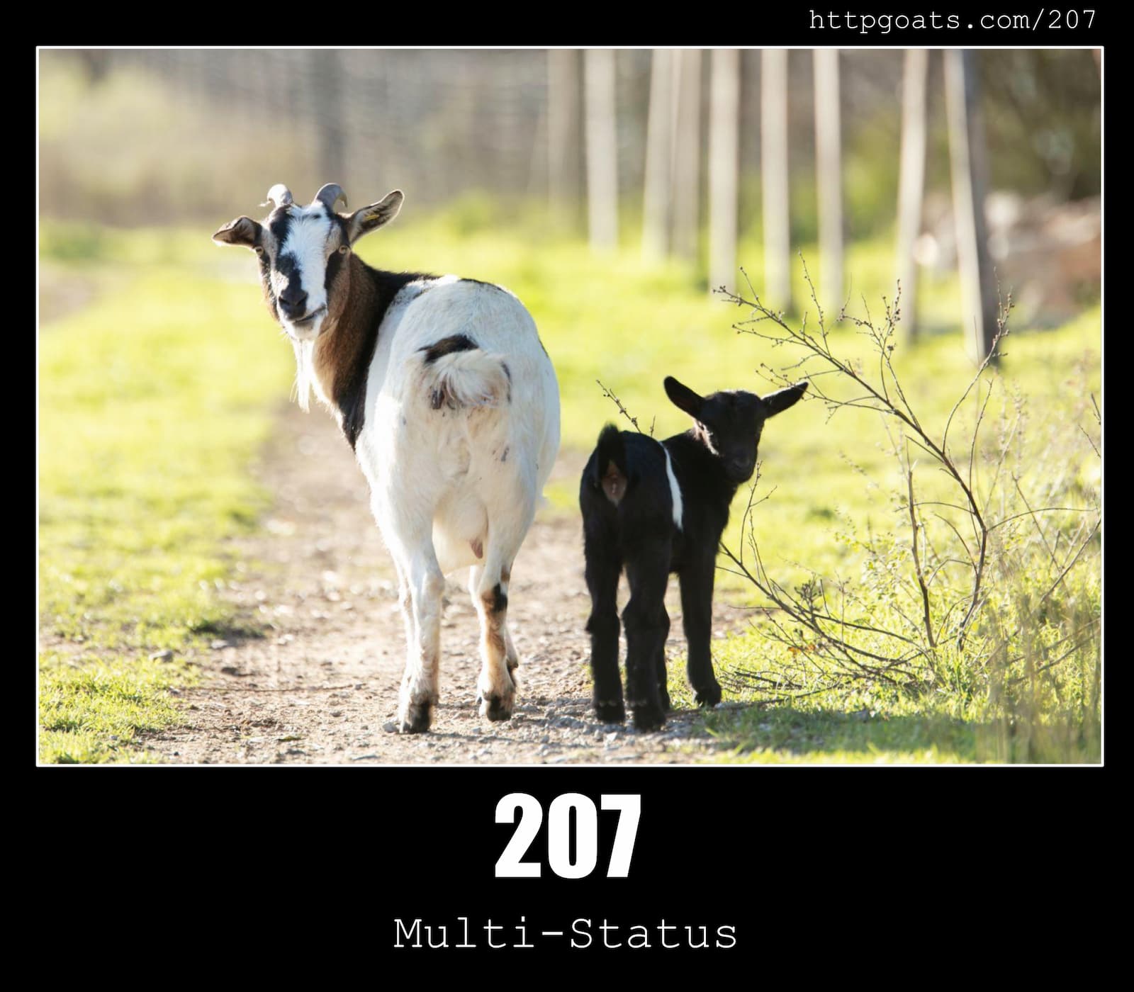 HTTP Status Code 207 Multi-Status & Goats