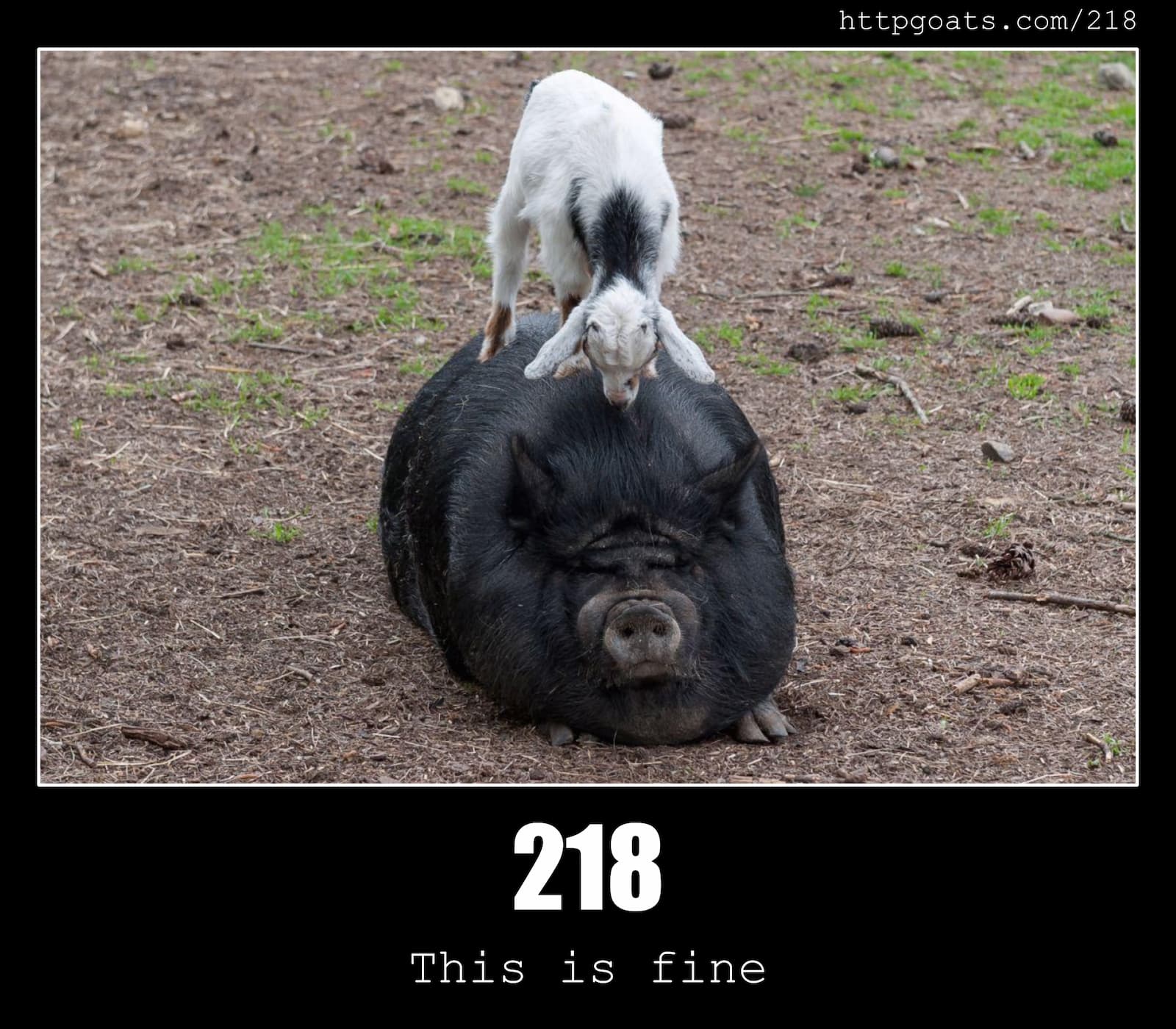 HTTP Status Code 218 This is fine & Goats