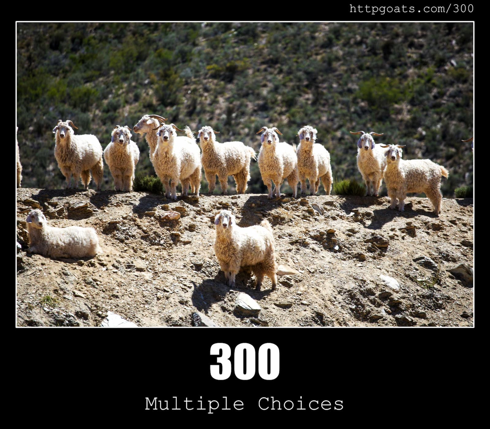 HTTP Status Code 300 Multiple Choices & Goats