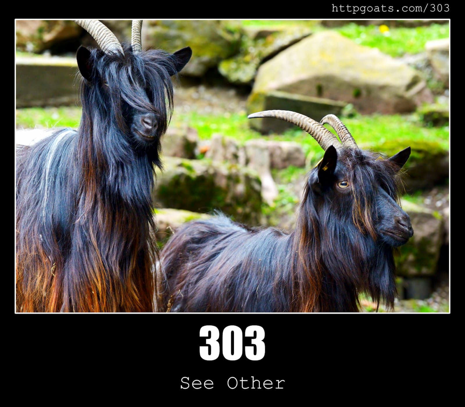 HTTP Status Code 303 See Other & Goats
