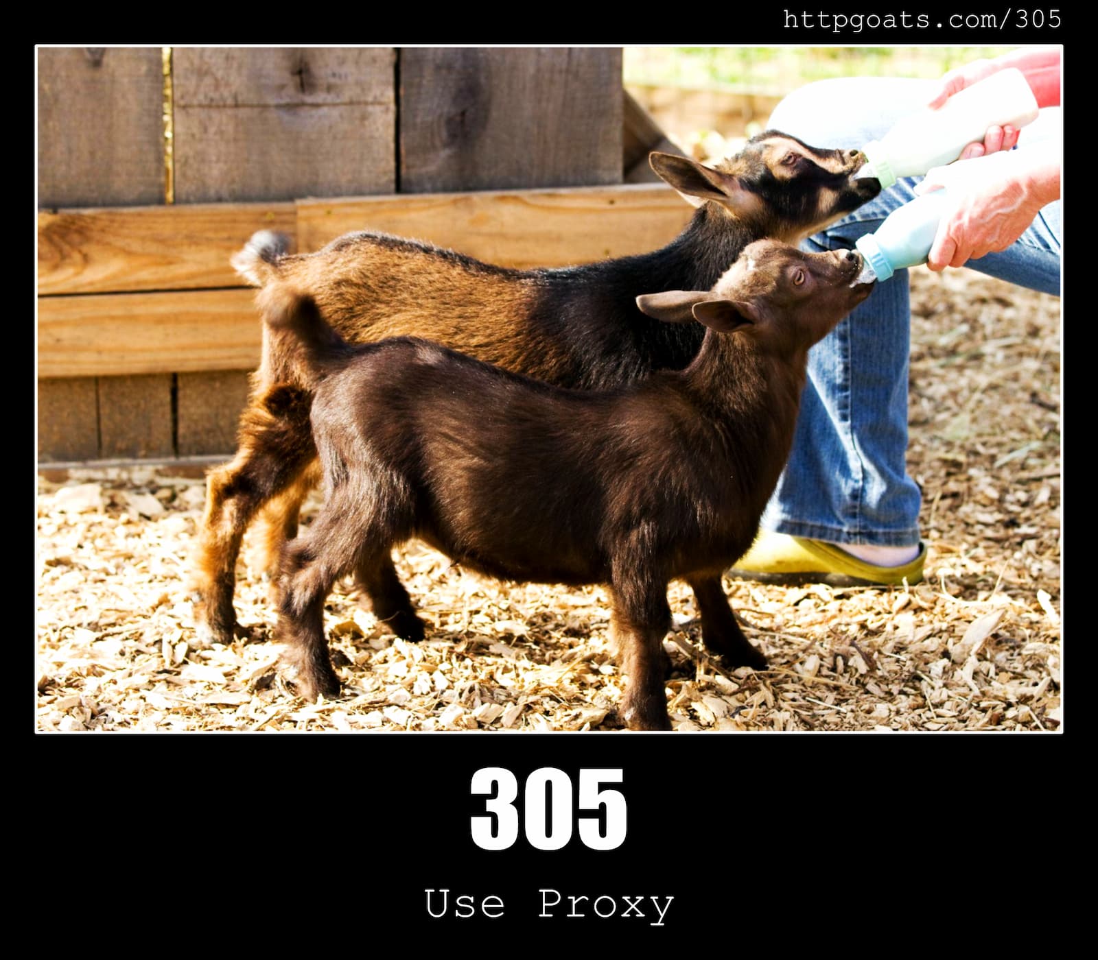 HTTP Status Code 305 Use Proxy & Goats