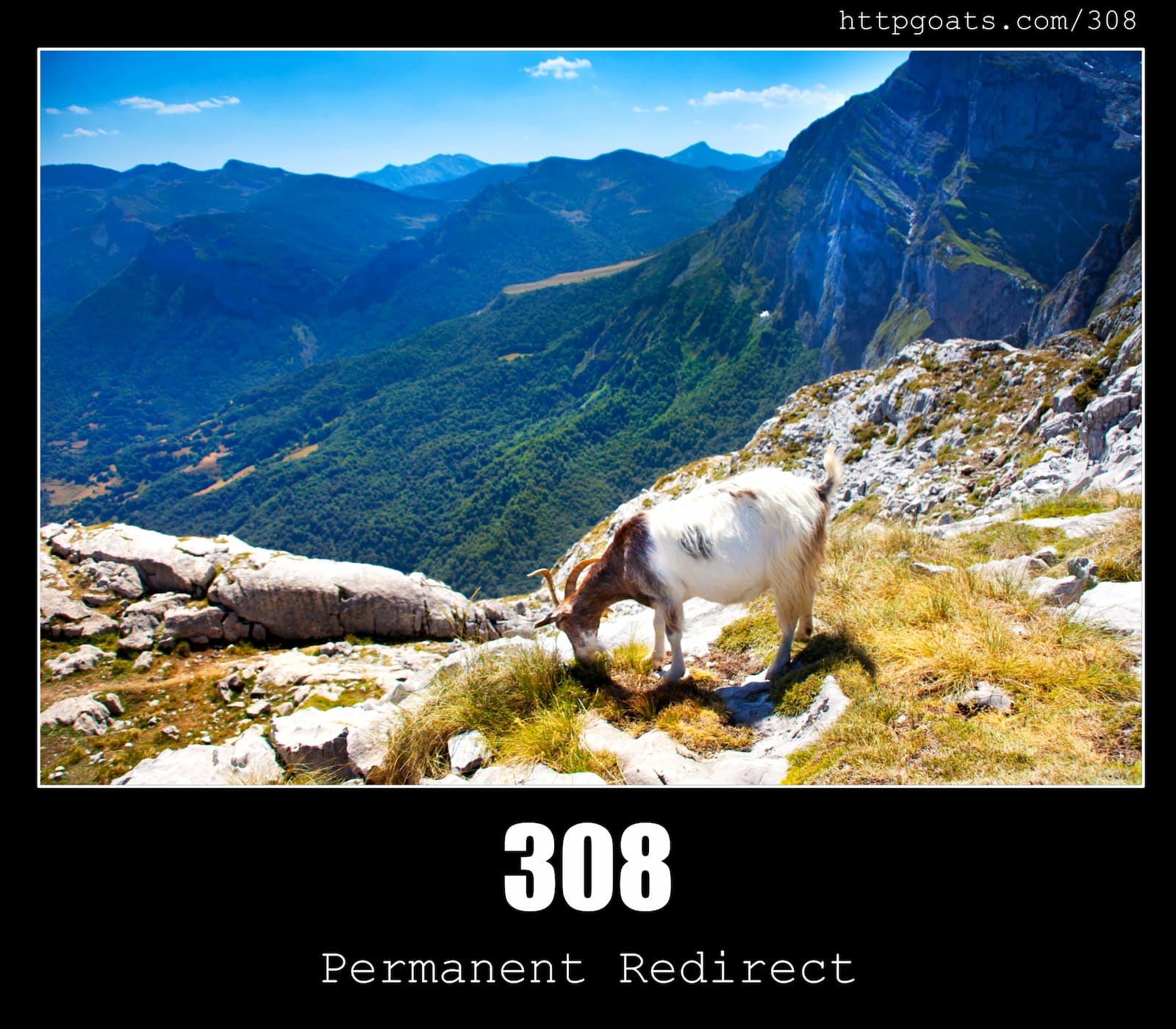 HTTP Status Code 308 Permanent Redirect & Goats