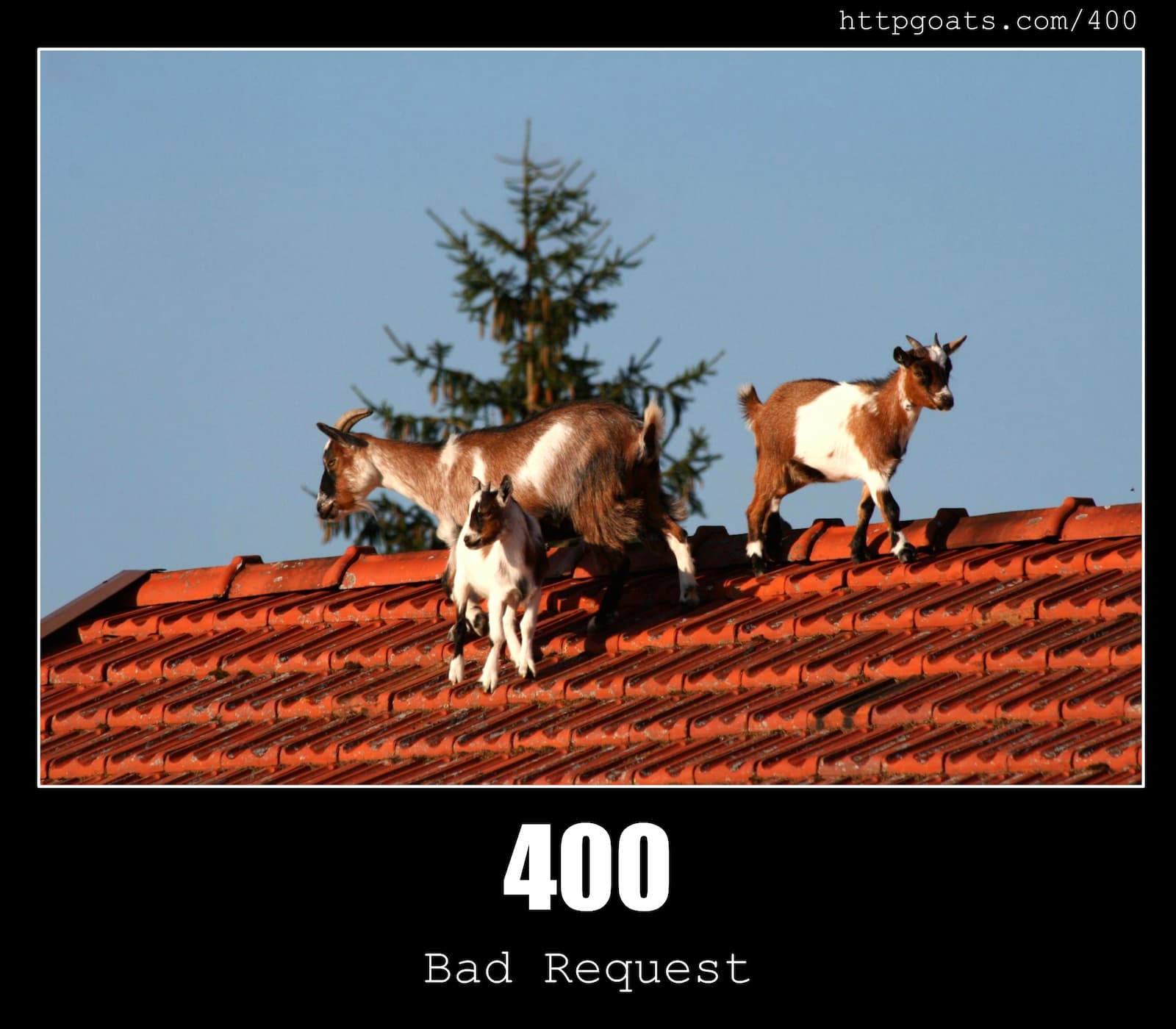 HTTP Status Code 400 Bad Request & Goats