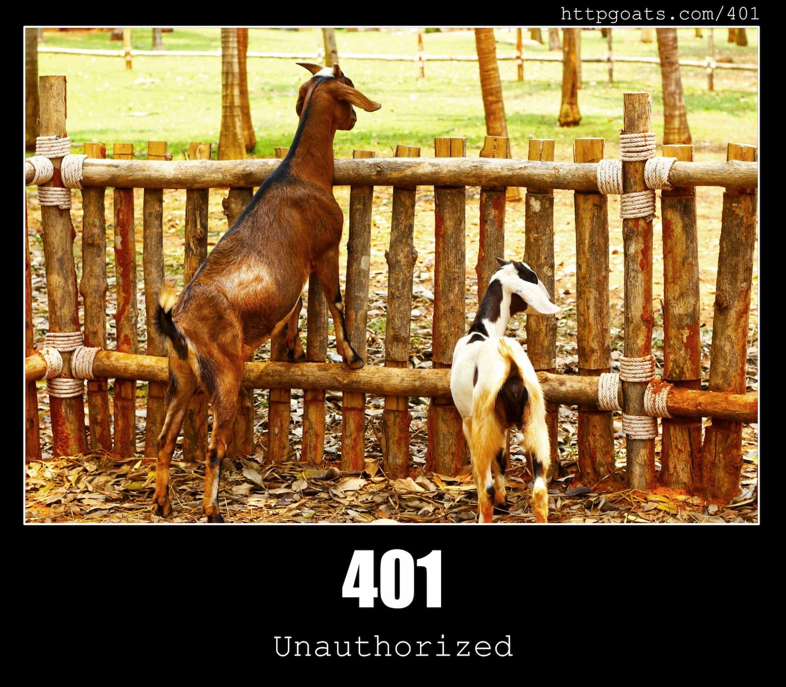 HTTP Status Code 401 Unauthorized & Goats