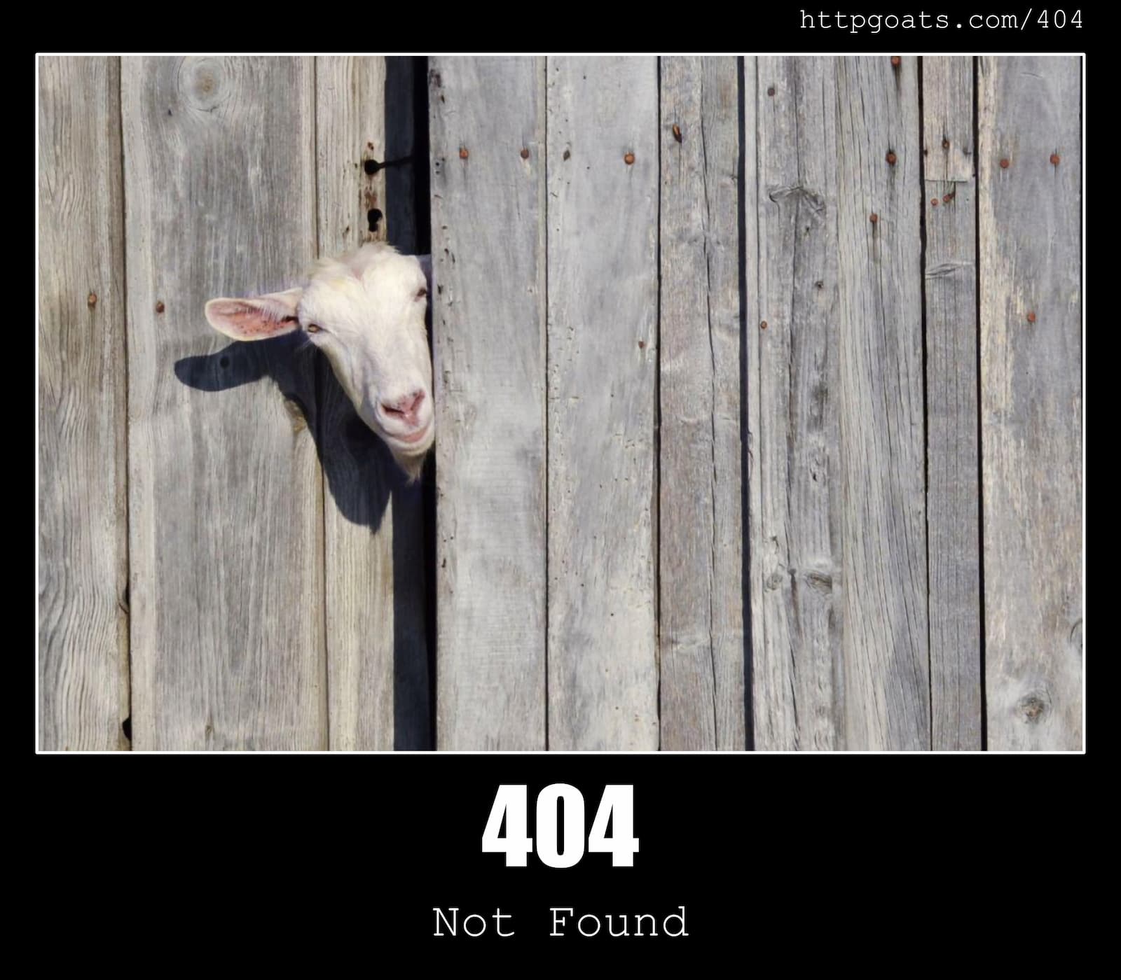 HTTP Status Code 404 Not Found & Goats