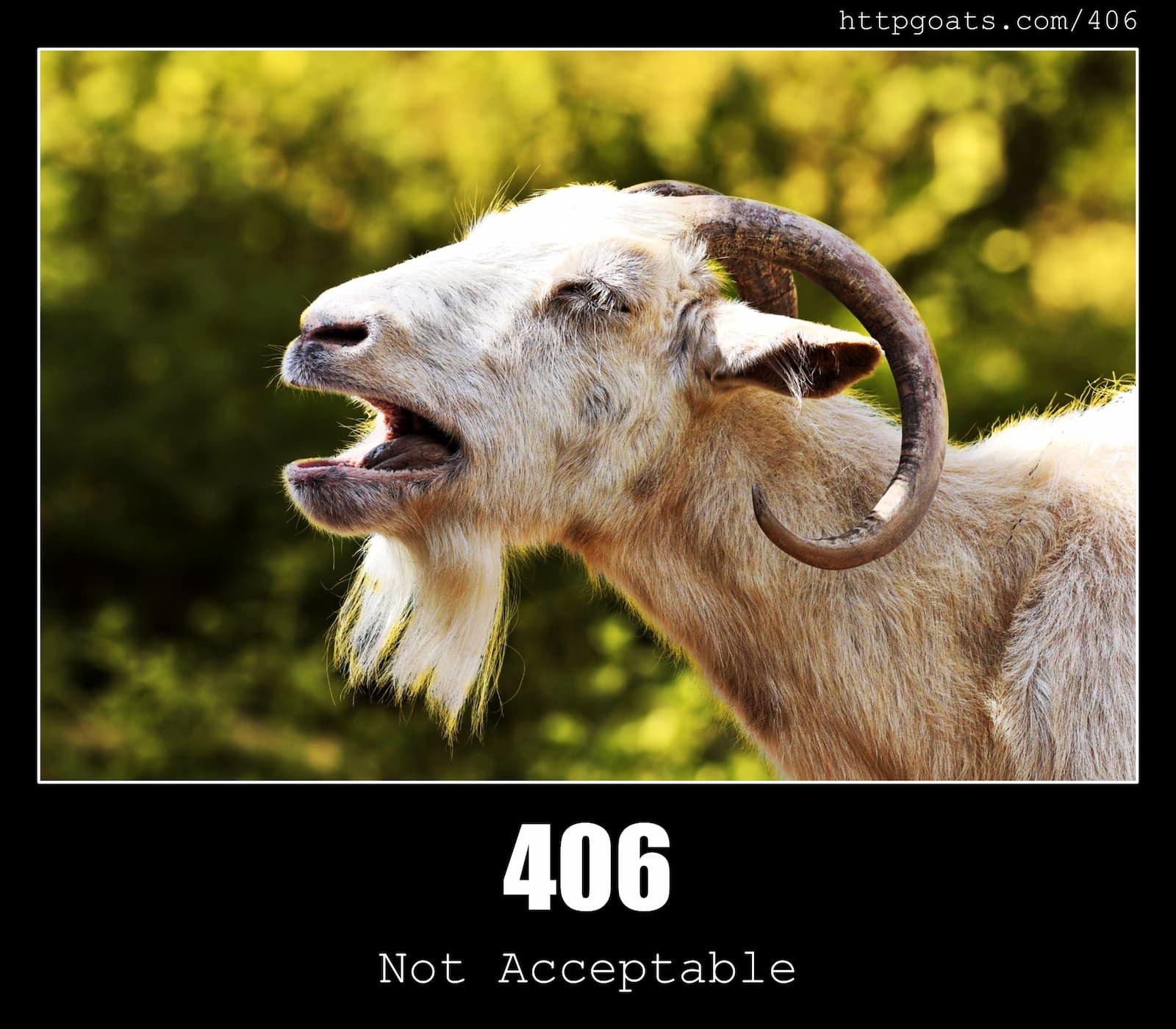 HTTP Status Code 406 Not Acceptable & Goats