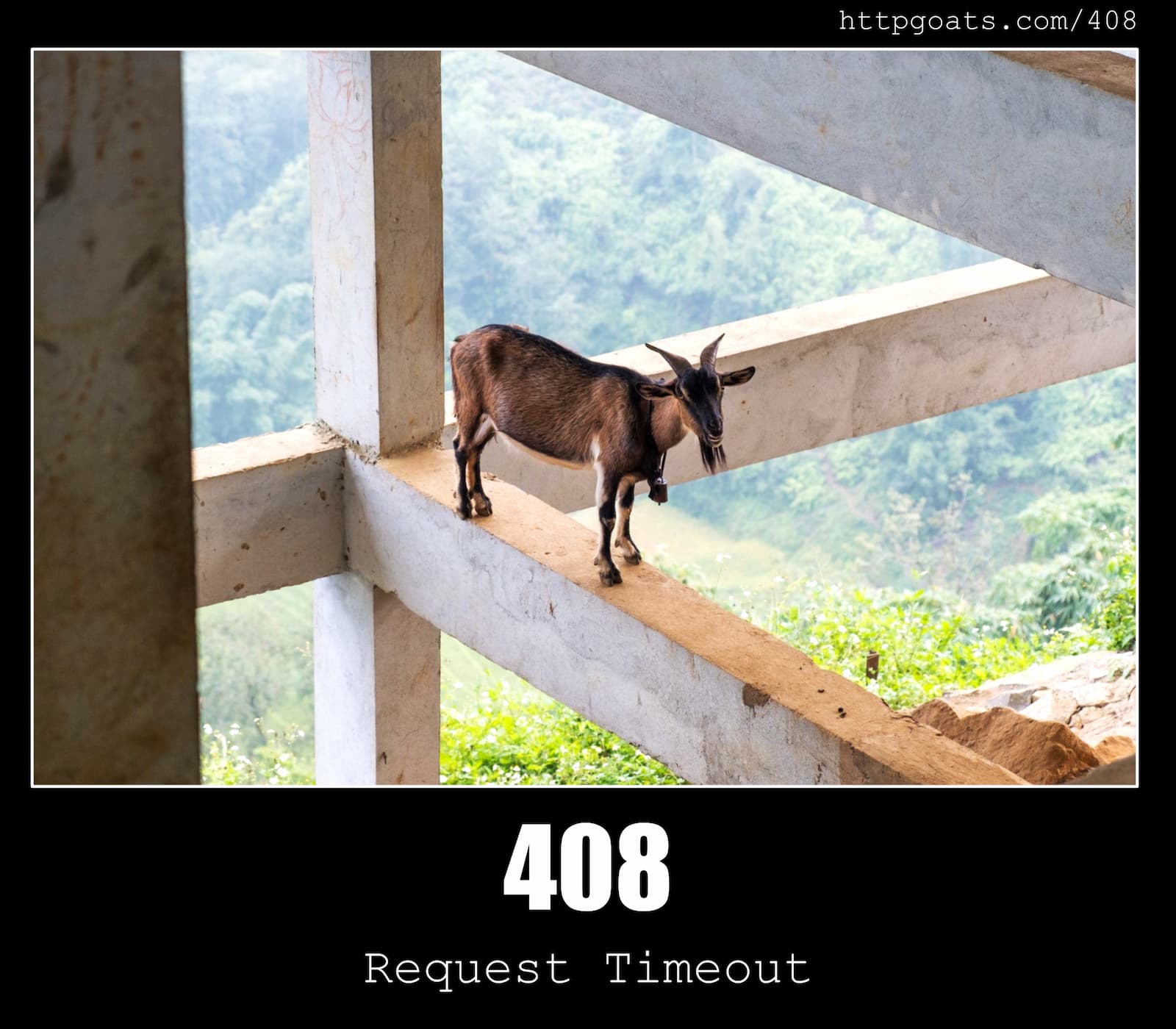 HTTP Status Code 408 Request Timeout & Goats