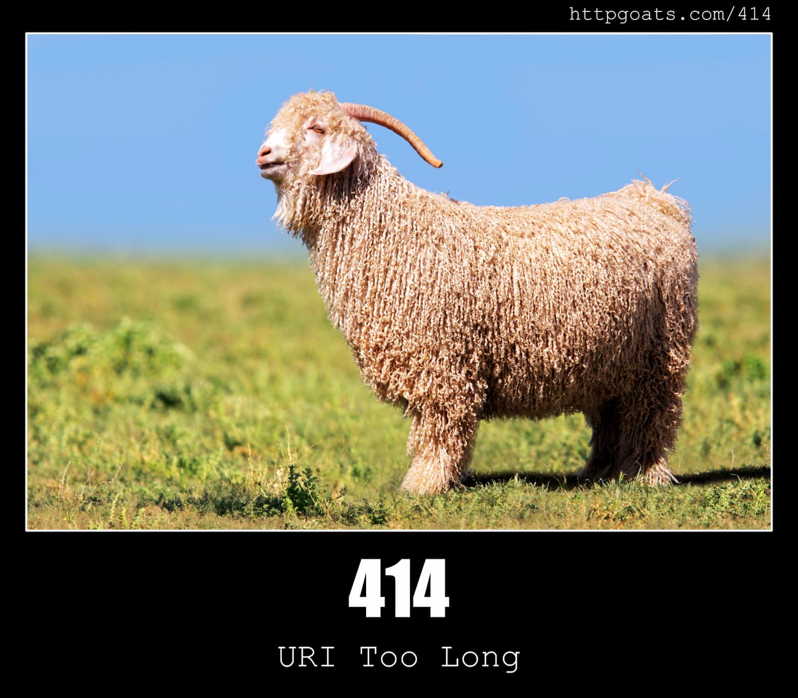 HTTP Status Code 414 URI Too Long & Goats