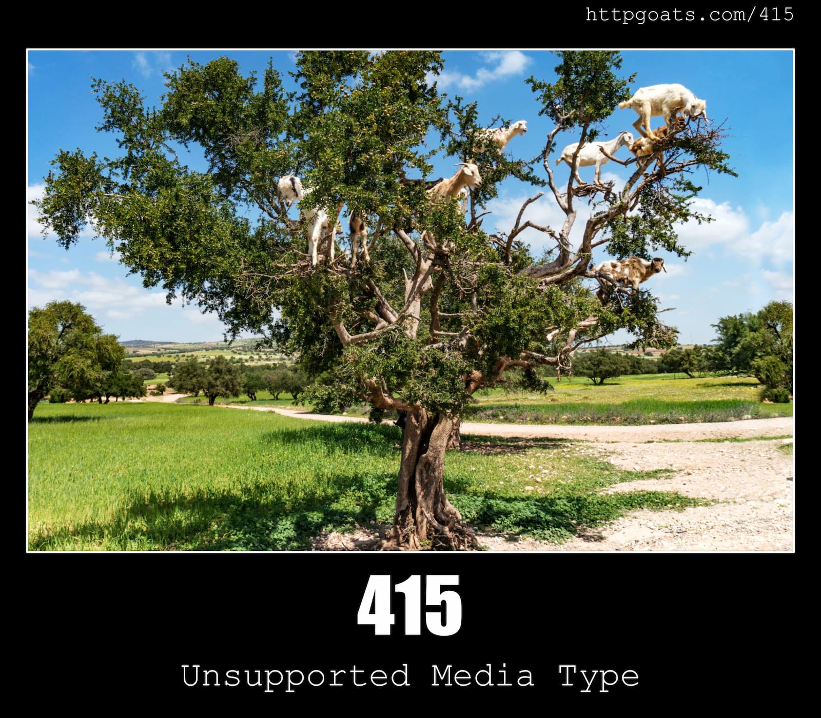 HTTP Status Code 415 Unsupported Media Type & Goats