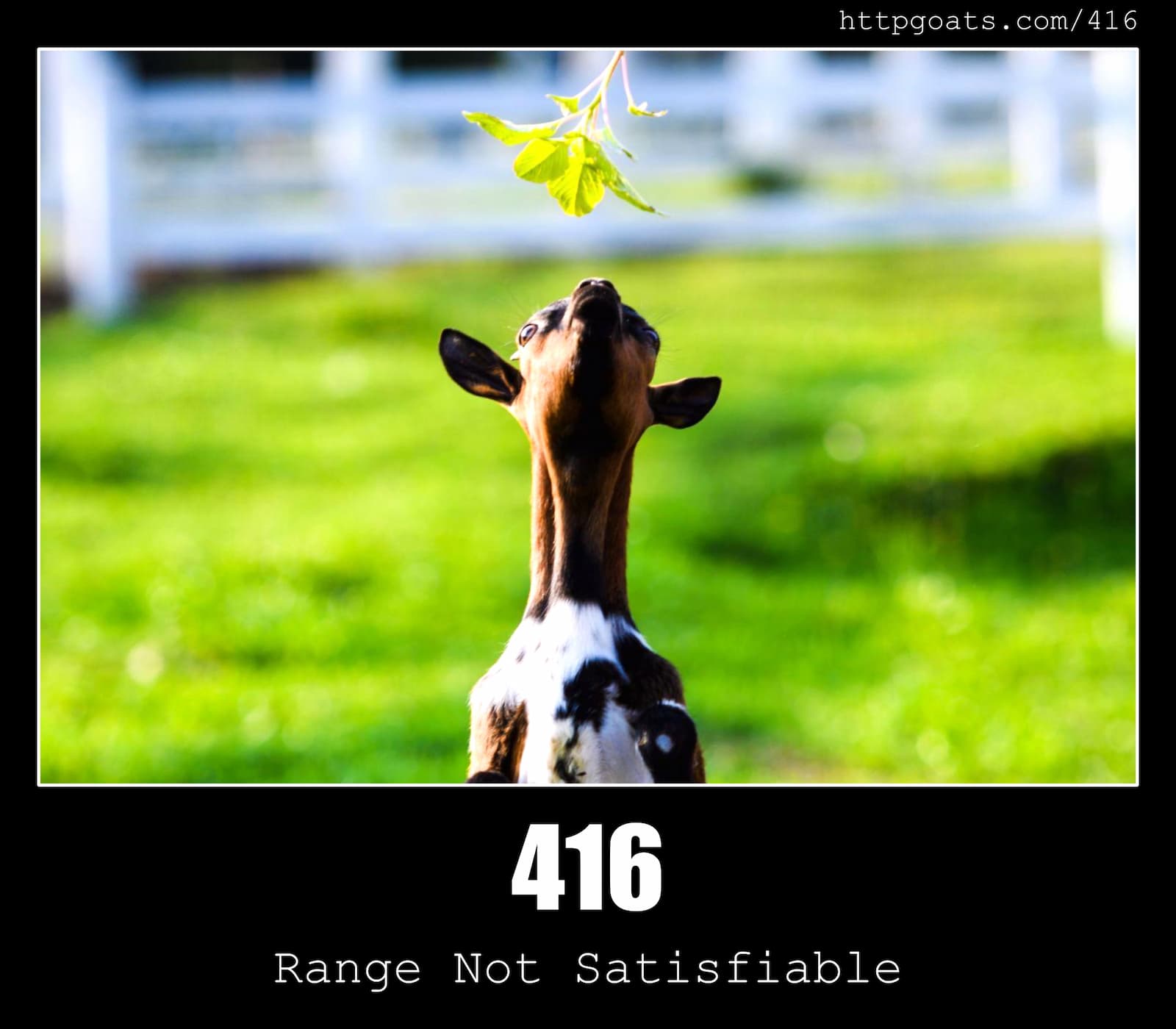 HTTP Status Code 416 Range Not Satisfiable & Goats