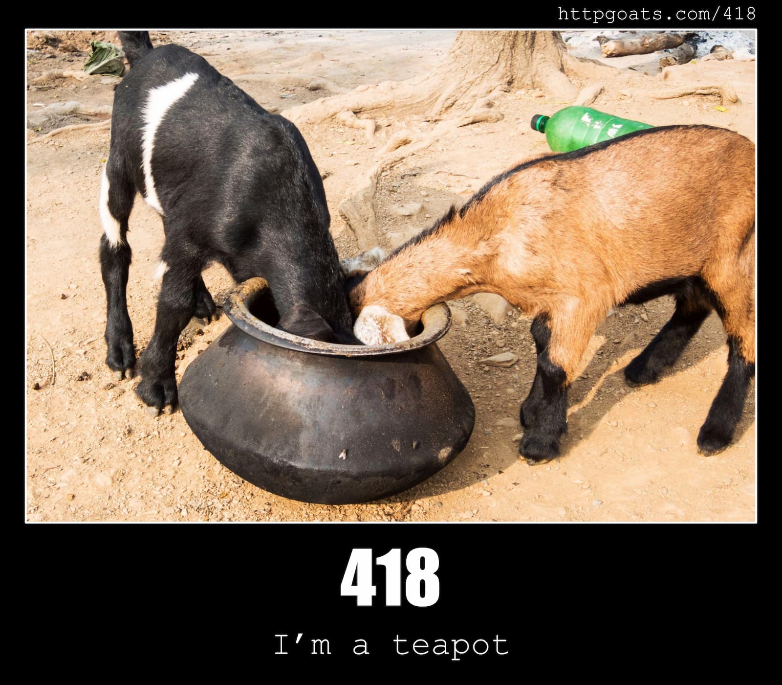 HTTP Status Code 418 I'm a teapot & Goats