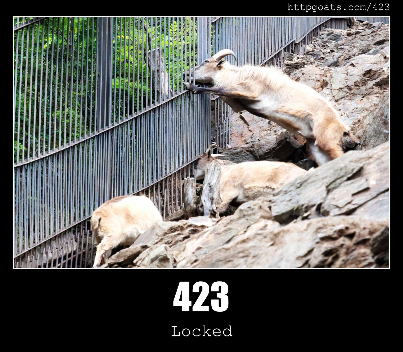 HTTP Status Code 423 Locked & Goats