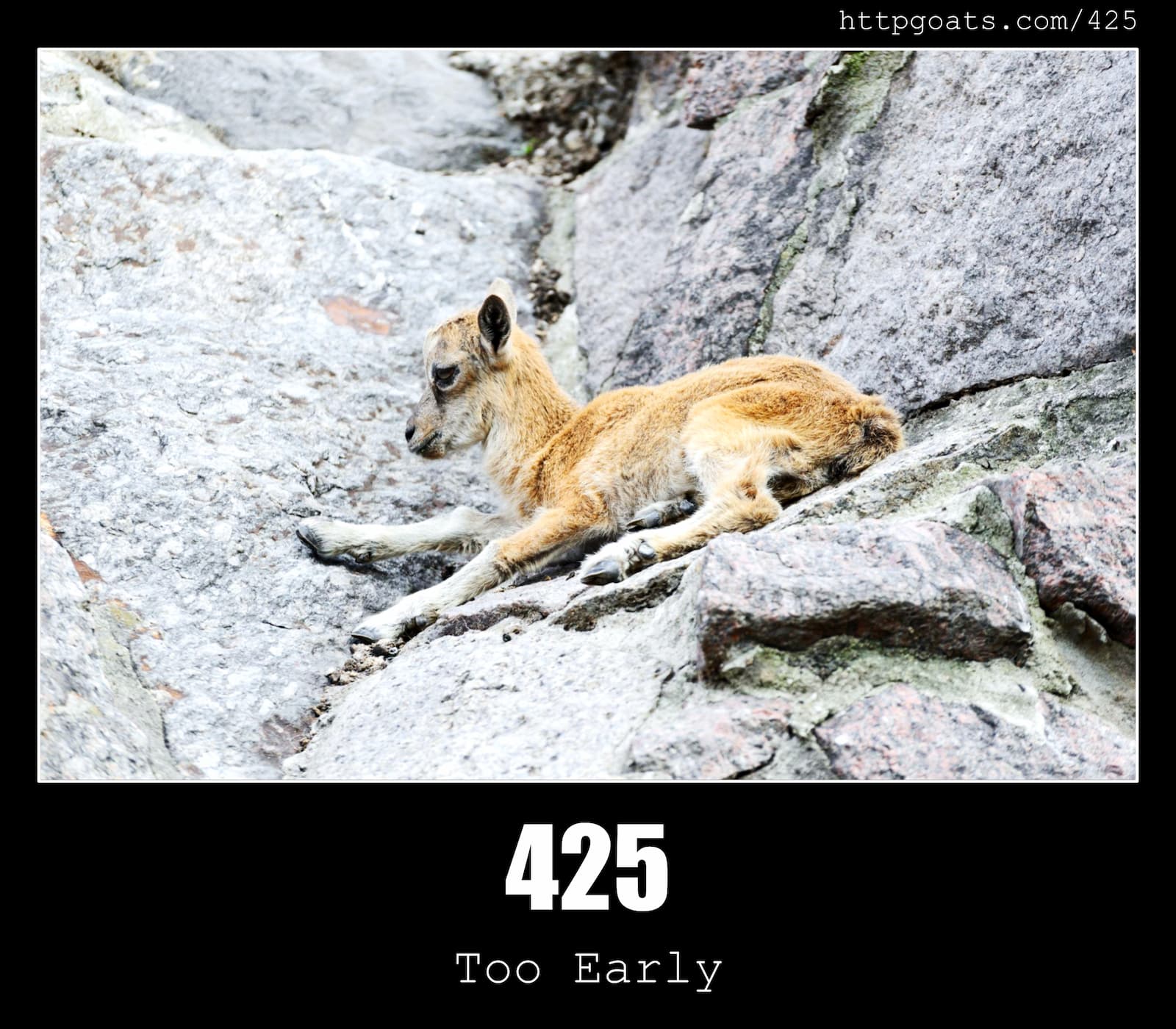 HTTP Status Code 425 Too Early & Goats