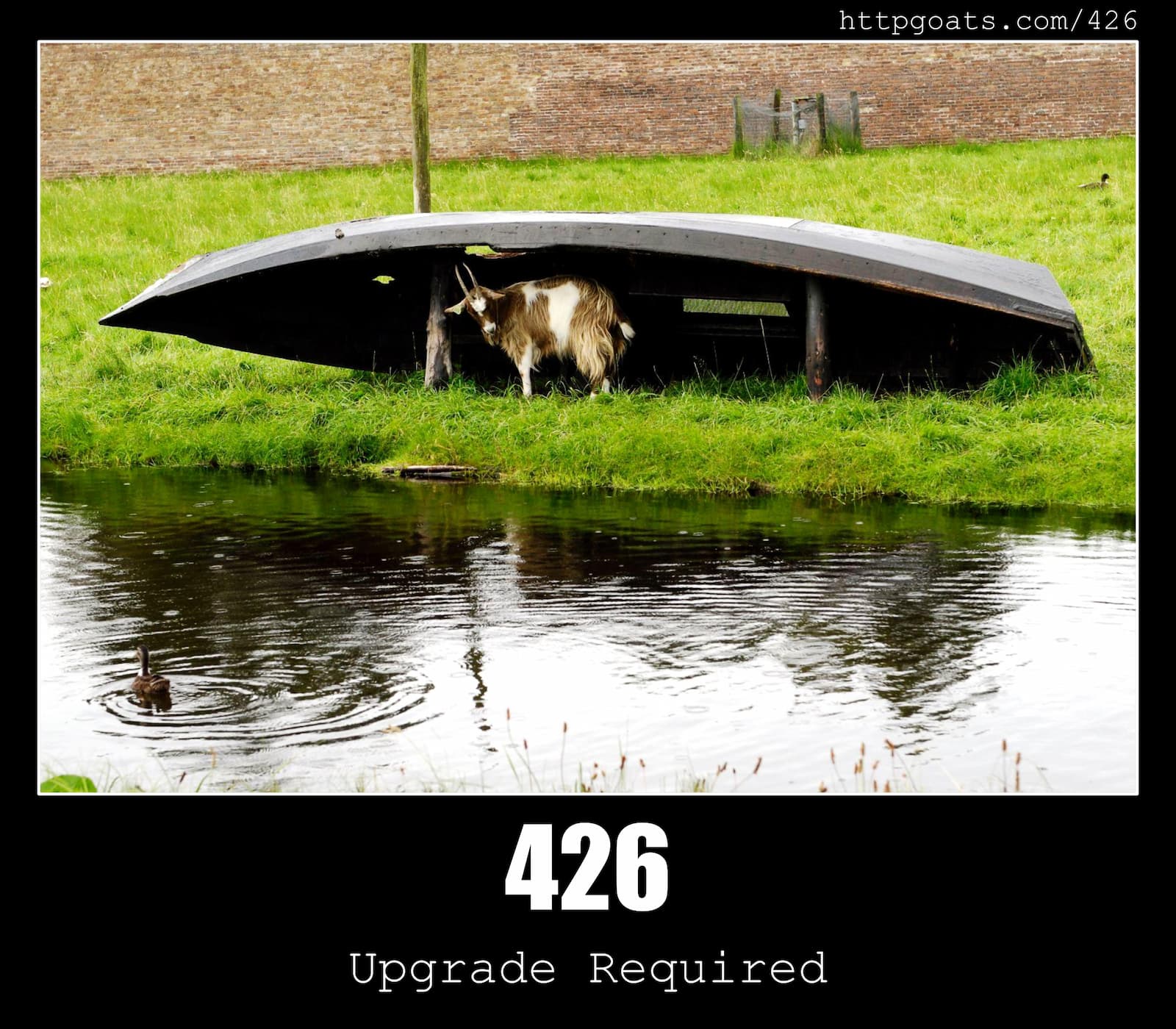 HTTP Status Code 426 Upgrade Required & Goats
