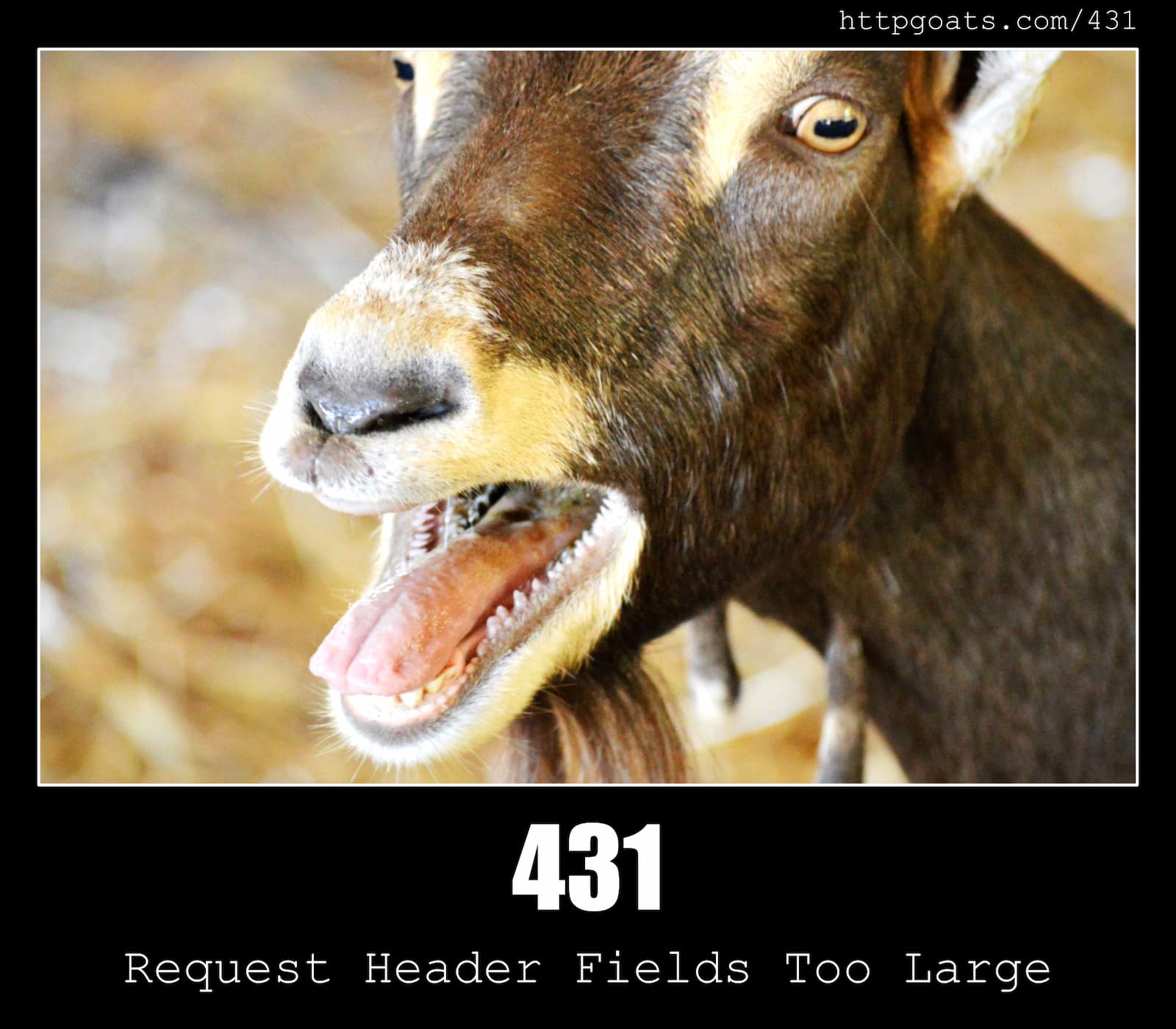 HTTP Status Code 431 Request Header Fields Too Large & Goats