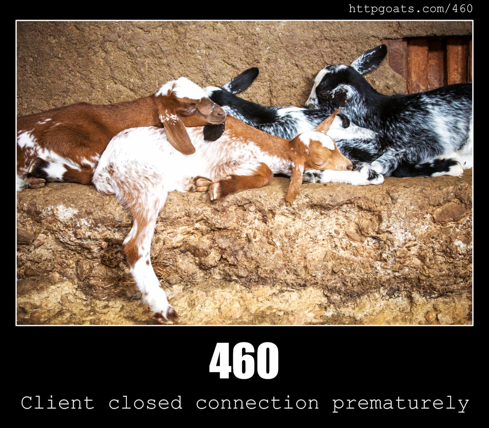 HTTP Status Code 460 Client closed connection prematurely & Goats