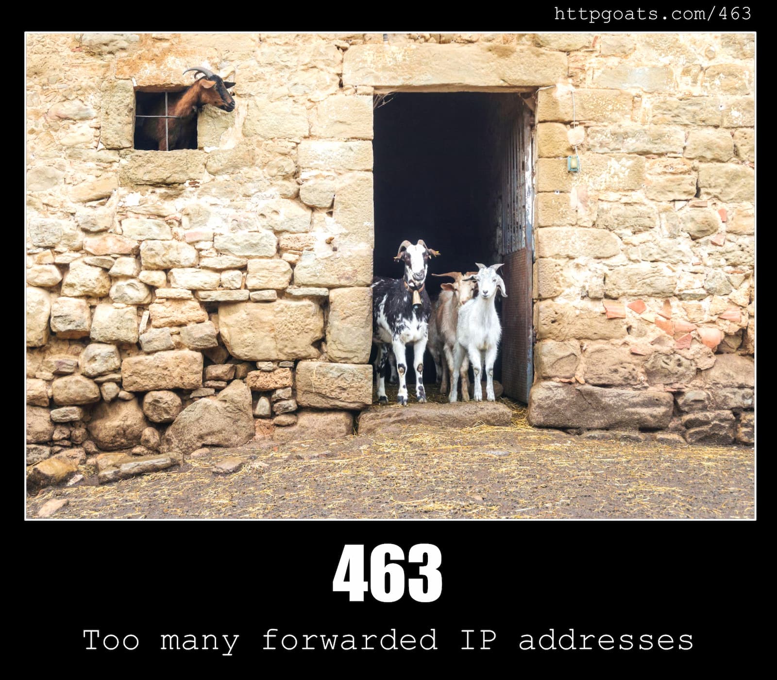 HTTP Status Code 463 Too many forwarded IP addresses & Goats