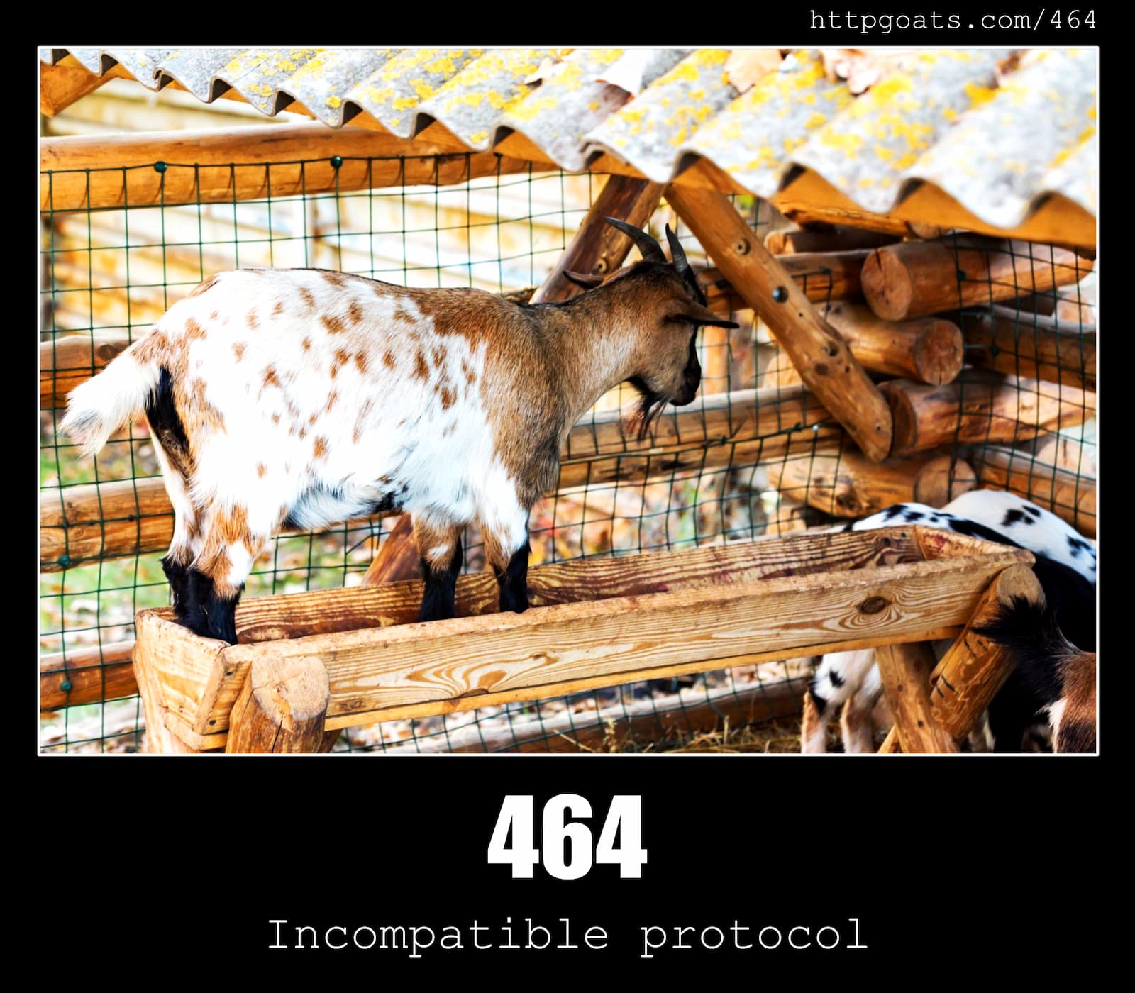 HTTP Status Code 464 Incompatible protocol & Goats