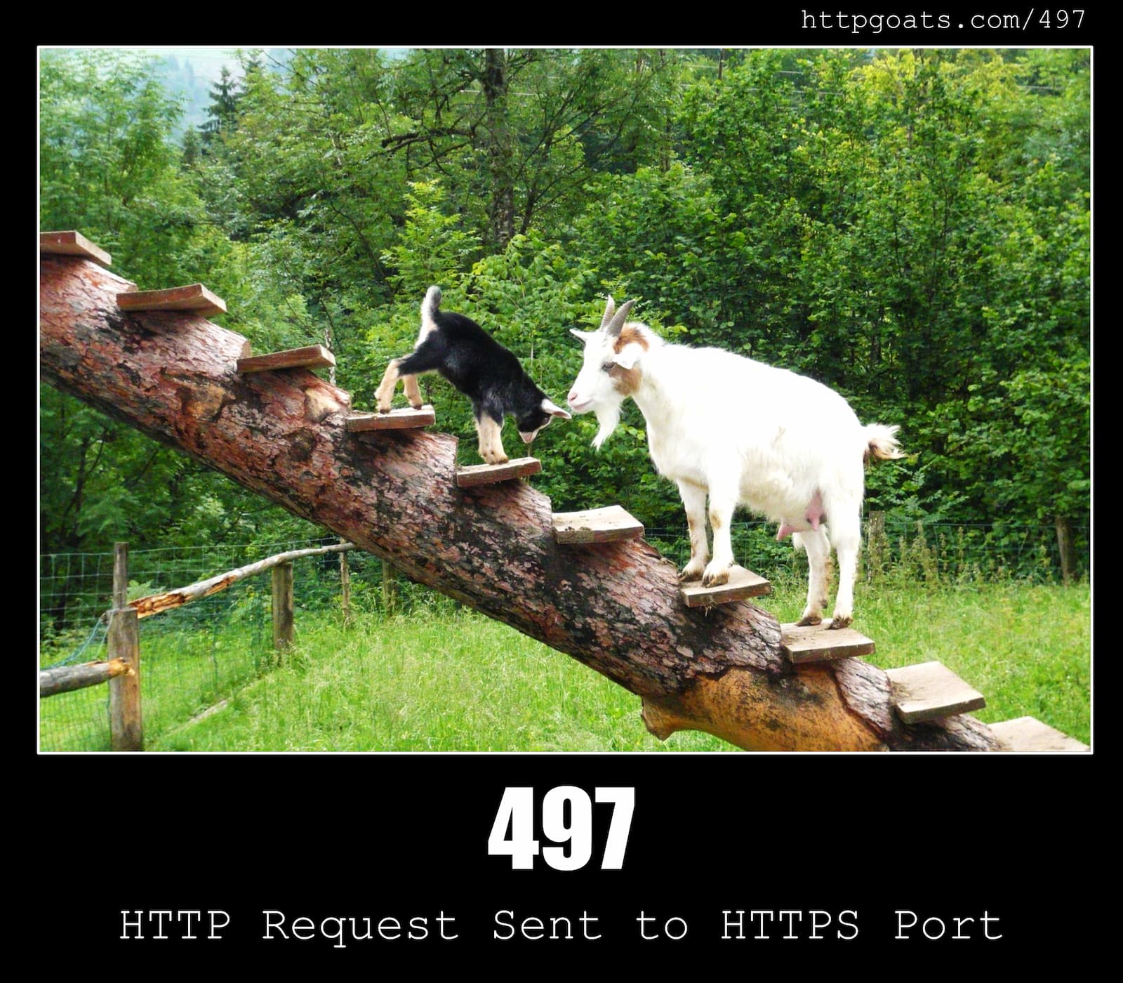 HTTP Status Code 497 HTTP Request Sent to HTTPS Port & Goats
