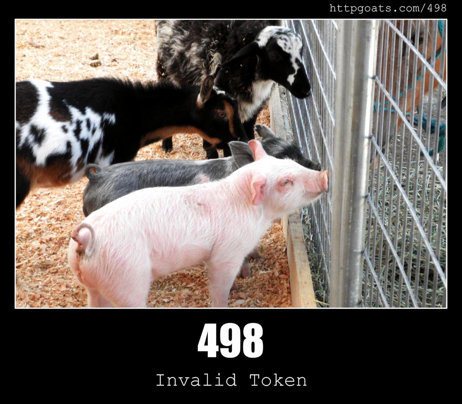 HTTP Status Code 498 Invalid Token & Goats