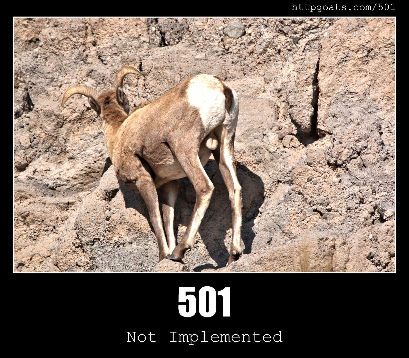 HTTP Status Code 501 Not Implemented & Goats