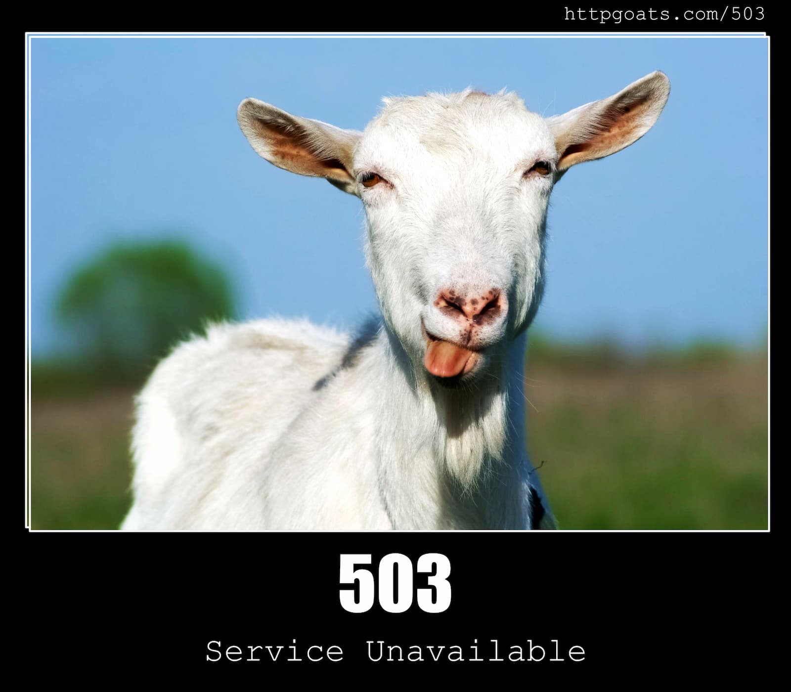 HTTP Status Code 503 Service Unavailable & Goats
