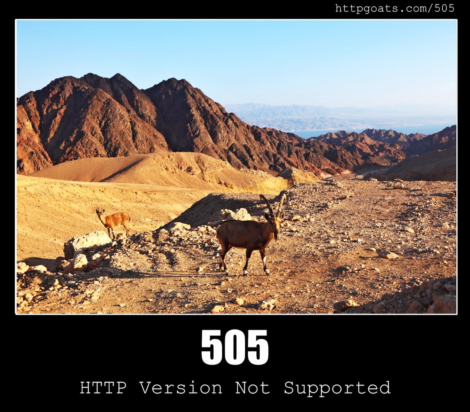 HTTP Status Code 505 HTTP Version Not Supported & Goats