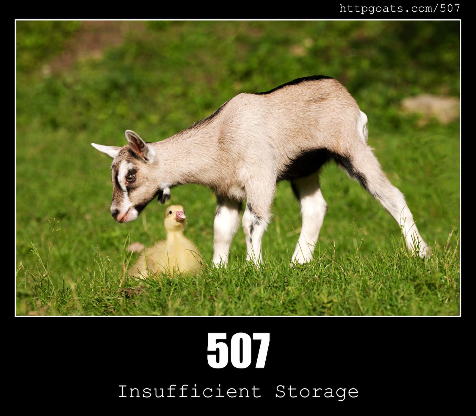 HTTP Status Code 507 Insufficient Storage & Goats