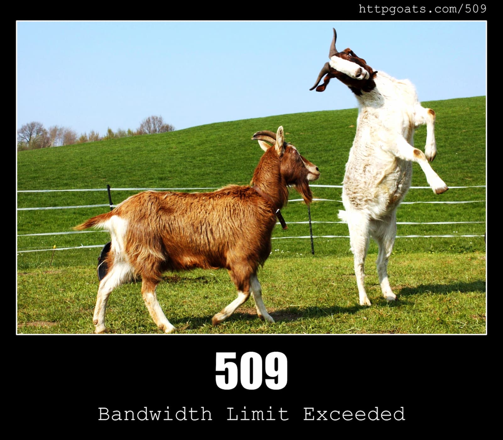 HTTP Status Code 509 Bandwidth Limit Exceeded & Goats