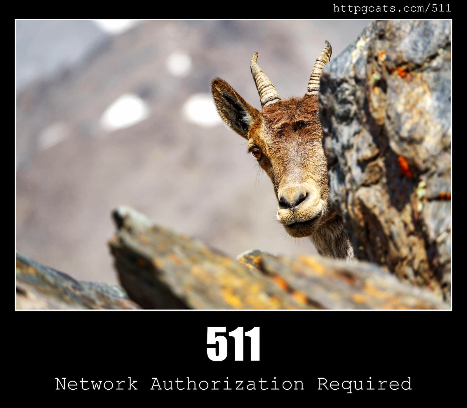 HTTP Status Code 511 Network Authentication Required & Goats