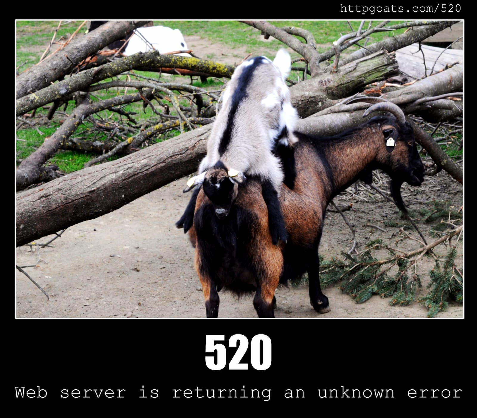 HTTP Status Code 520 Web server is returning an unknown error & Goats