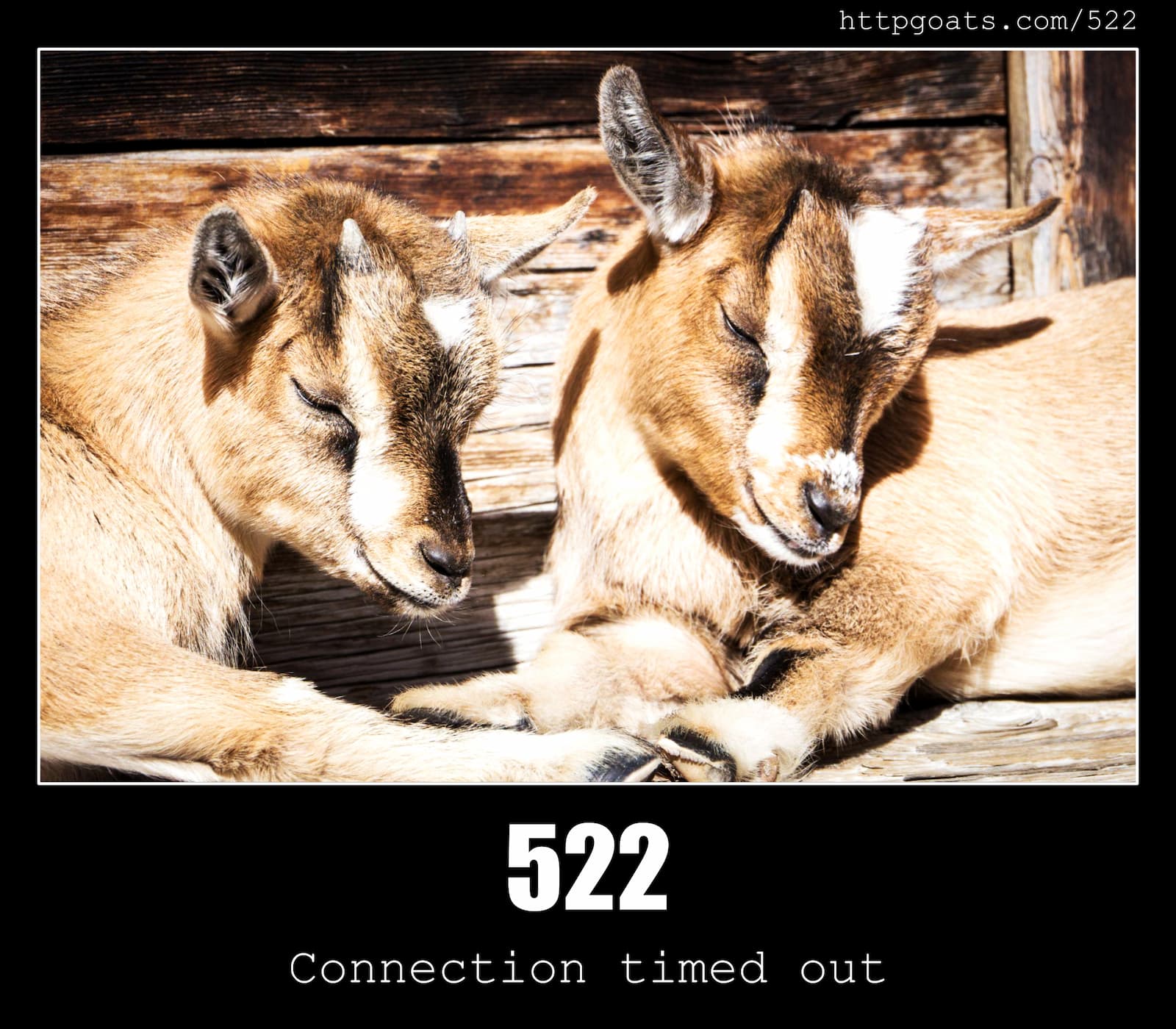 HTTP Status Code 522 Connection timed out & Goats