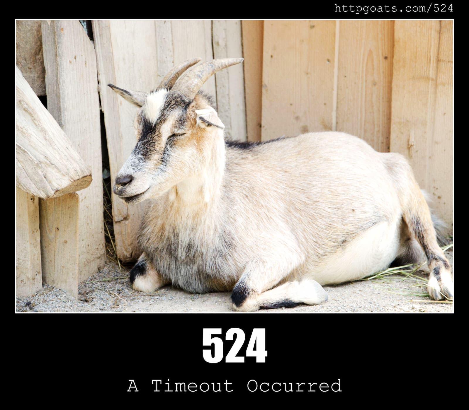 HTTP Status Code 524 A Timeout Occurred & Goats