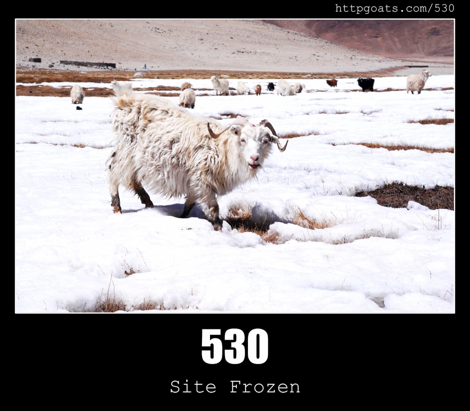 HTTP Status Code 530 Site Frozen & Goats