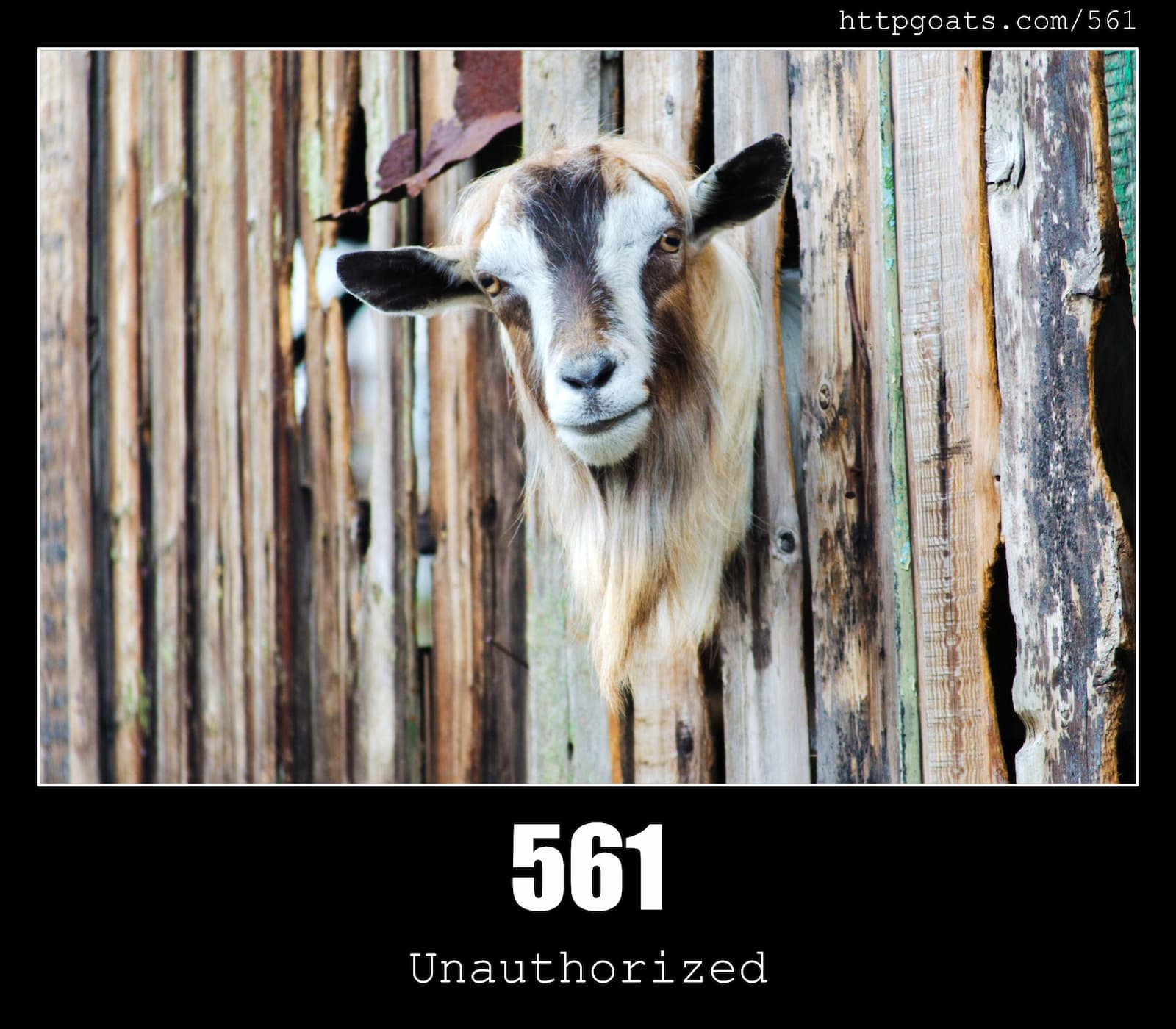 HTTP Status Code 561 Unauthorized & Goats
