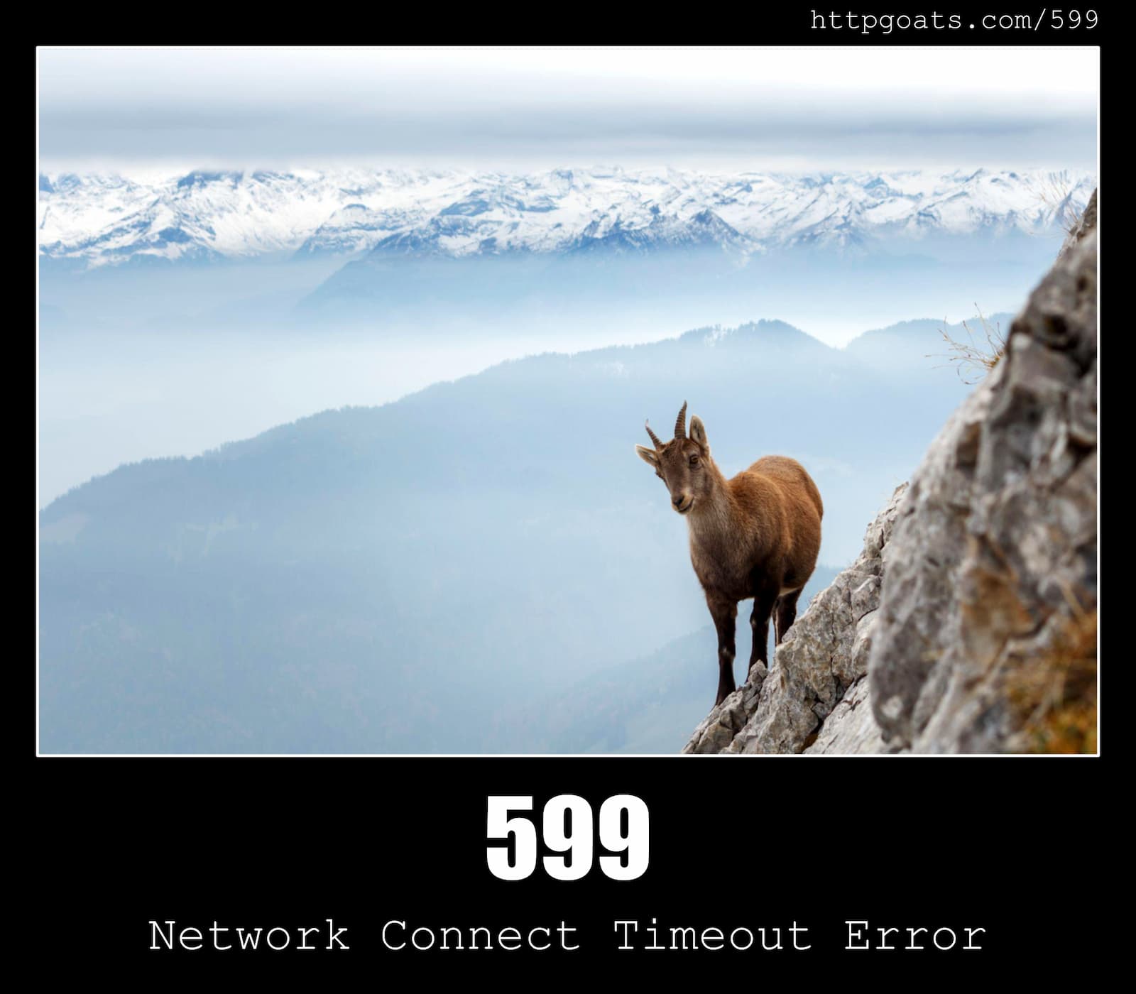 HTTP Status Code 599 Network Connect Timeout Error & Goats