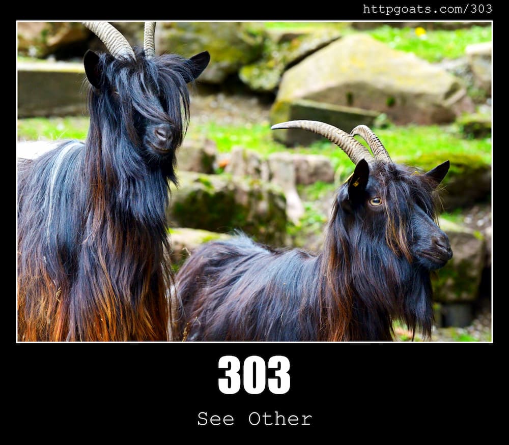 html 303
