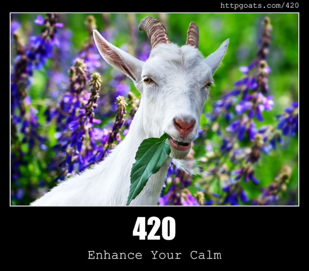 420-enhance-your-calm-http-status-code-and-goats