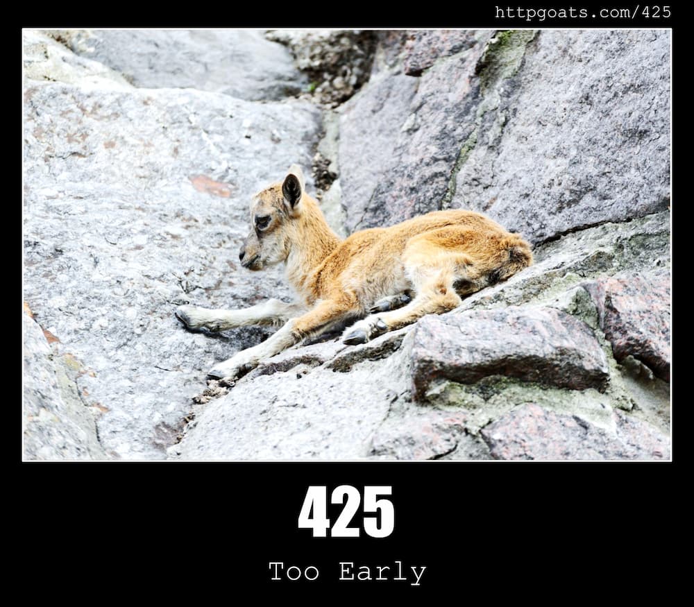 425-too-early-http-status-code-and-dogs