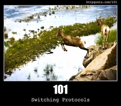 101 Switching Protocols & Goats