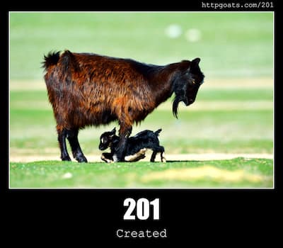 201 Created & Goats