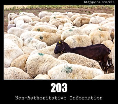 203 Non-Authoritative Information & Goats