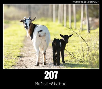 207 Multi-Status & Goats