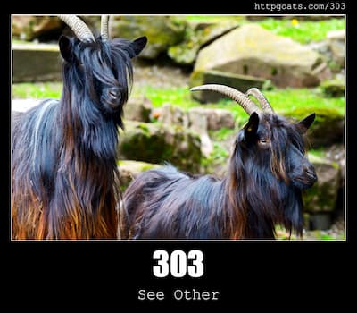 303 See Other & Goats